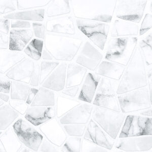 Плитка облиц. Smalta Chip 24,9*50 (WT9SML25)