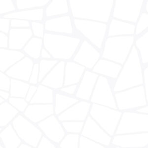 Плитка облиц. Smalta White 24,9*50 (WT9SML00)